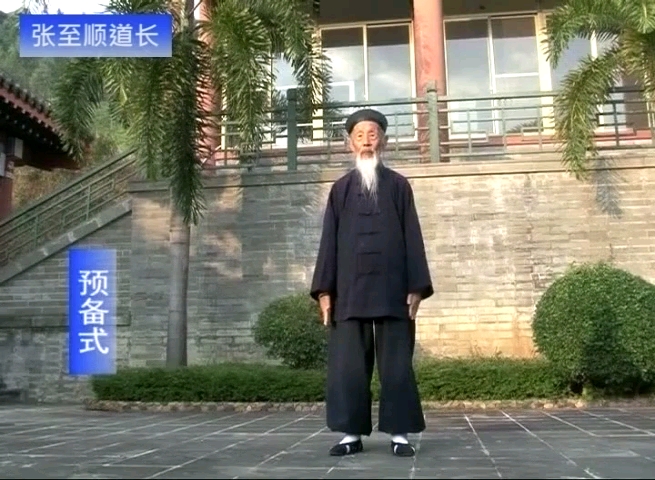 张至顺道长《八部金刚功》合集-天涯网