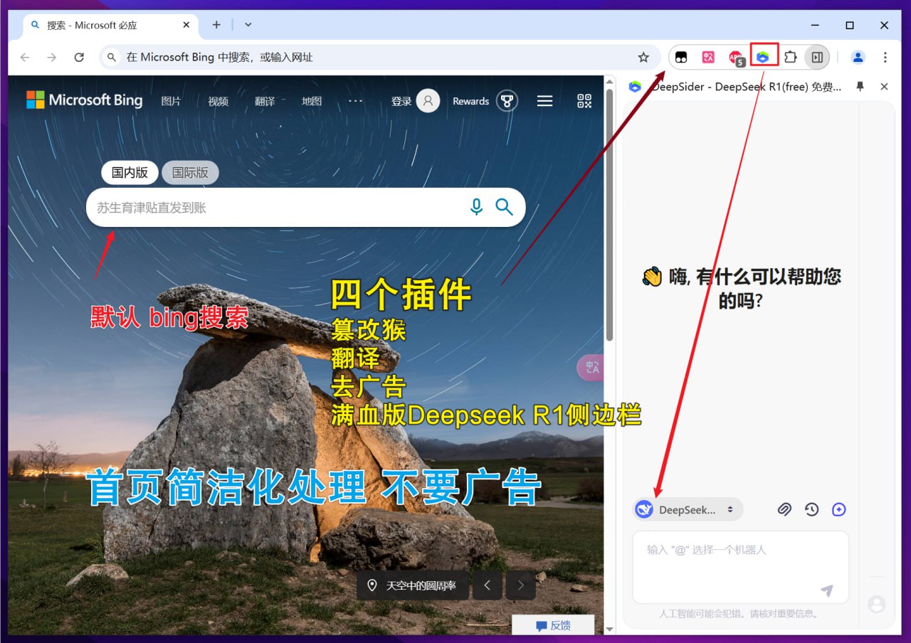 谷歌Chrome浏览器便携增强版-长期更新【1.1GB】-天涯网