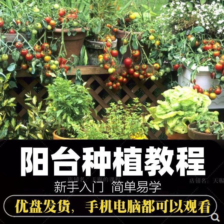 自学阳台种植蔬菜水果盆栽绿植盆景视频教程阳台科学种植技术课程-天涯网