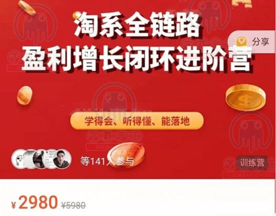 【桐策电商】淘系全链路 盈利增长闭环进阶营-天涯网