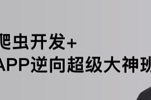 【路飞学城】爬虫开发+APP逆向超级大神班-01期 - 带源码课件-天涯网