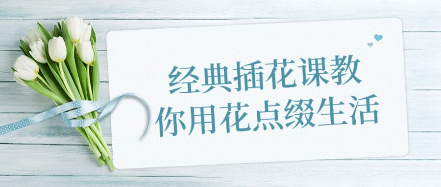 经典插花课教你用花点缀生活-天涯网