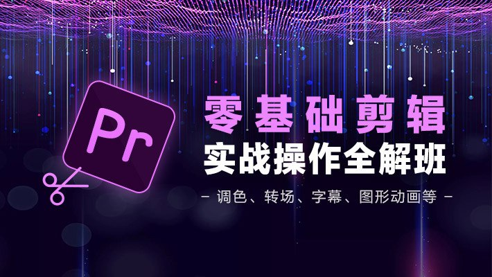 PR从零基础入门到视频剪辑大神教程-天涯网