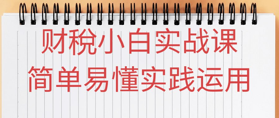 财稅小白实战课简单易懂实践运用-天涯网