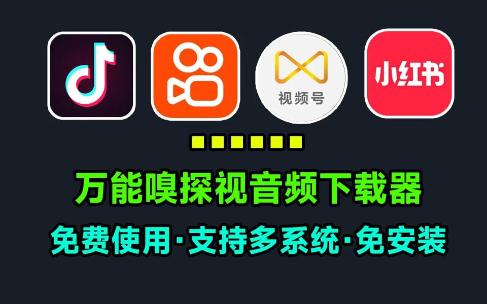 万能嗅探下载器 v1.0.5 绿色版-天涯网