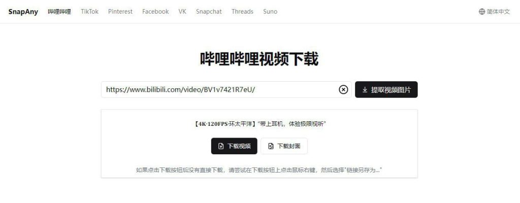 SnapAny - 多平台视频/图片下载工具-天涯网