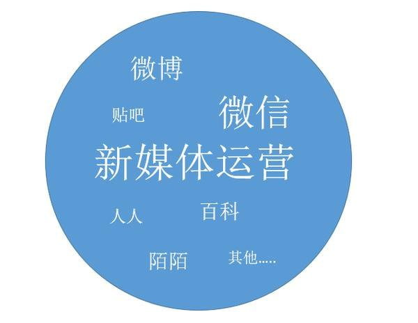 2024年新媒体流量变现运营笔记-天涯网