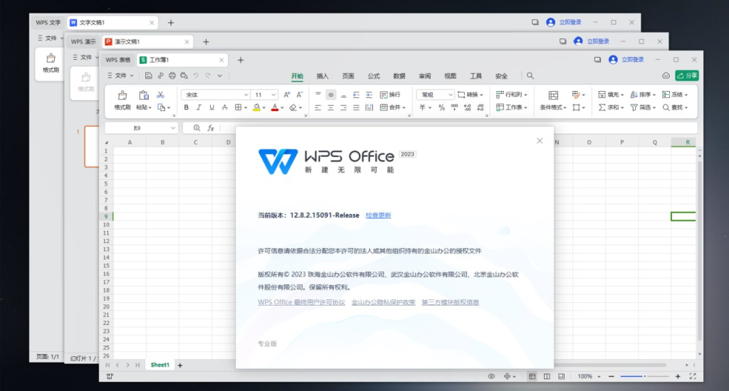 [Windows] WPS Office 2023 专业版（便携版本）-天涯网