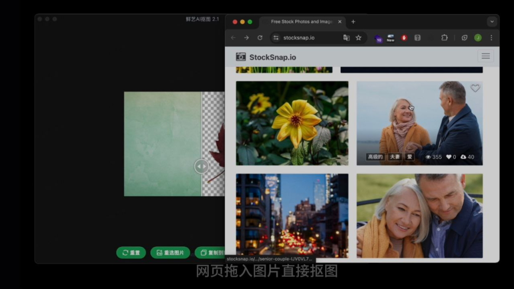 🌳 鲜艺AI抠图 - 免费无需联网的 AI 抠图工具-天涯网
