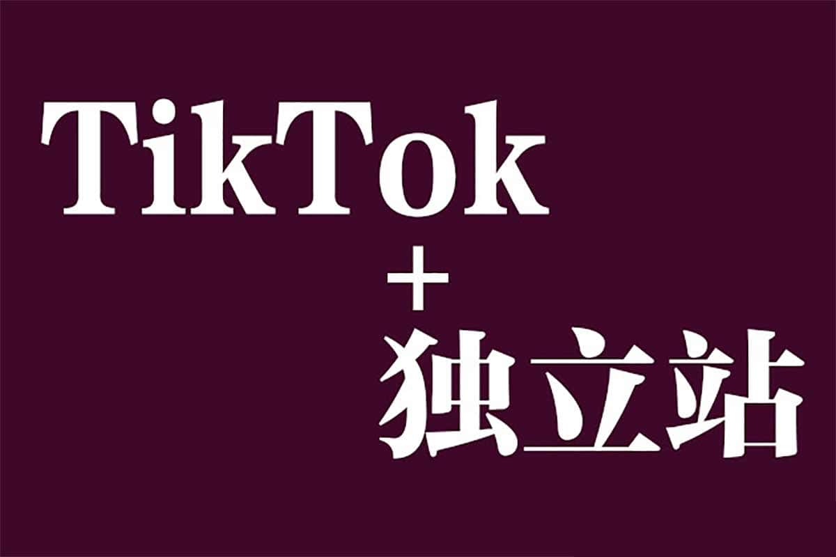 【Tiktok+独立站0基础入门到精通 跨境电商独立站新手必学课】-天涯网