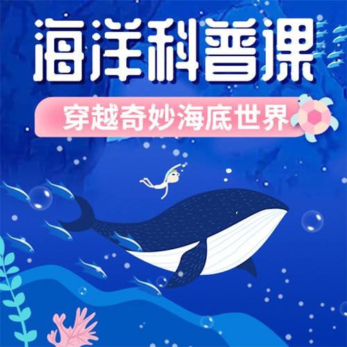 小灯塔少儿动画-海洋科普课-穿越奇妙海底世界（全）-天涯网