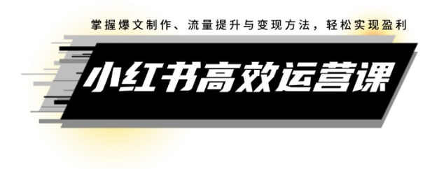 【小红书高效运营课】掌握爆文制作、流量提升与变现方法，轻松实现盈利-天涯网