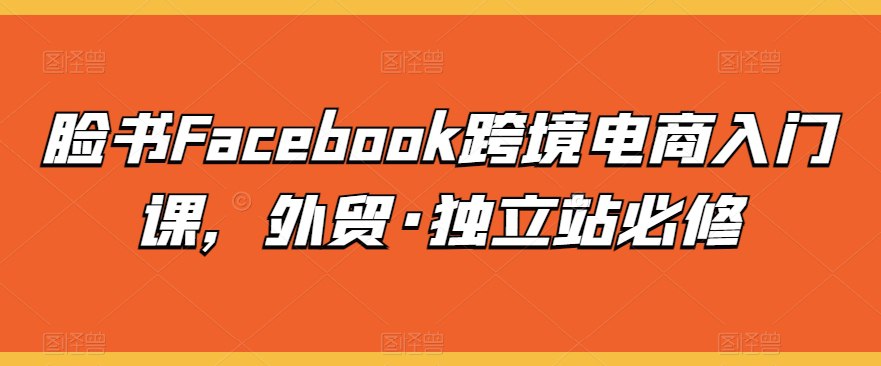 脸书跨境电商入门课-天涯网