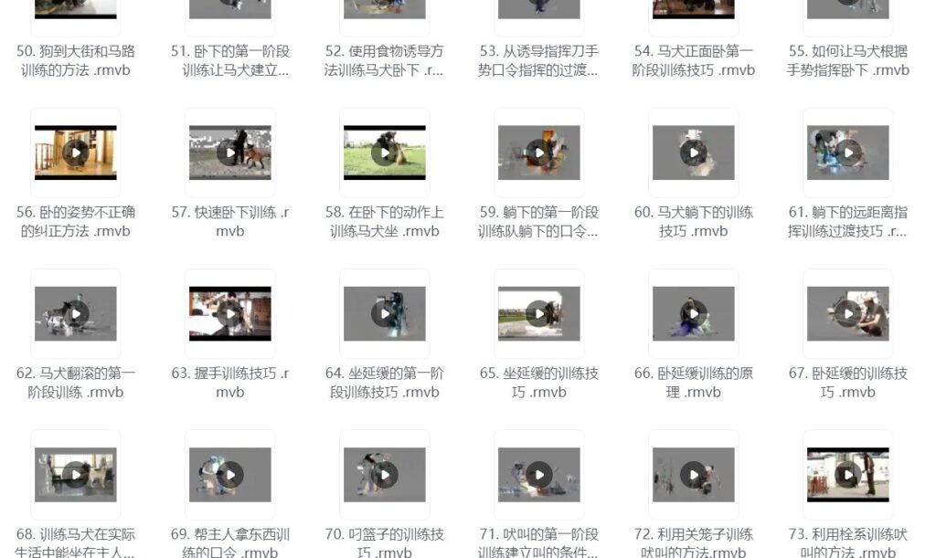狗狗训练专业教程 训犬教程全合集140节课-天涯网