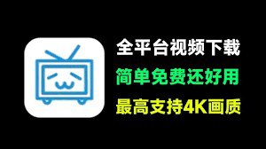 闪豆视频下载器 v4.0.0.0 安装版-天涯网