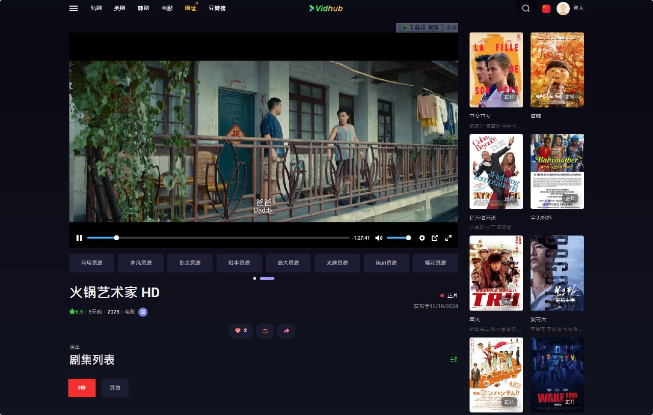 VidHub – 在线影视网站，多个影视源解析可以选-天涯网