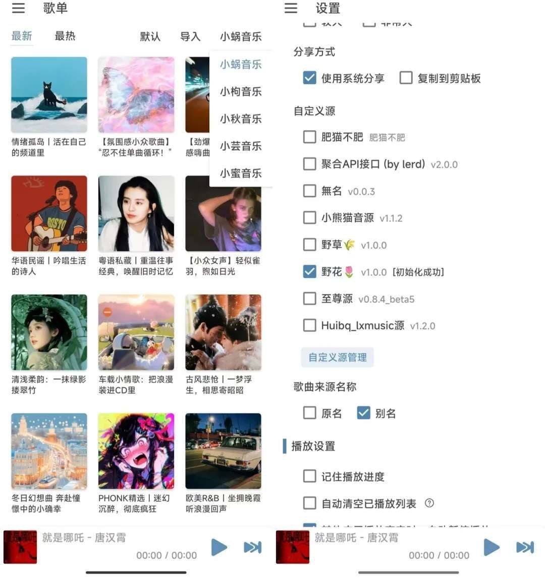 洛雪音乐Pro版 | 自带音源，Pro版就是好用【30.3MB】-天涯网